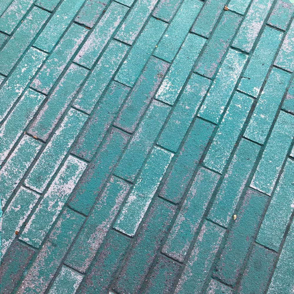 Meet your Posher, Anne